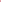 North Falling Star Stellar - Profumo - STELLAR - Alla Violetta Boutique